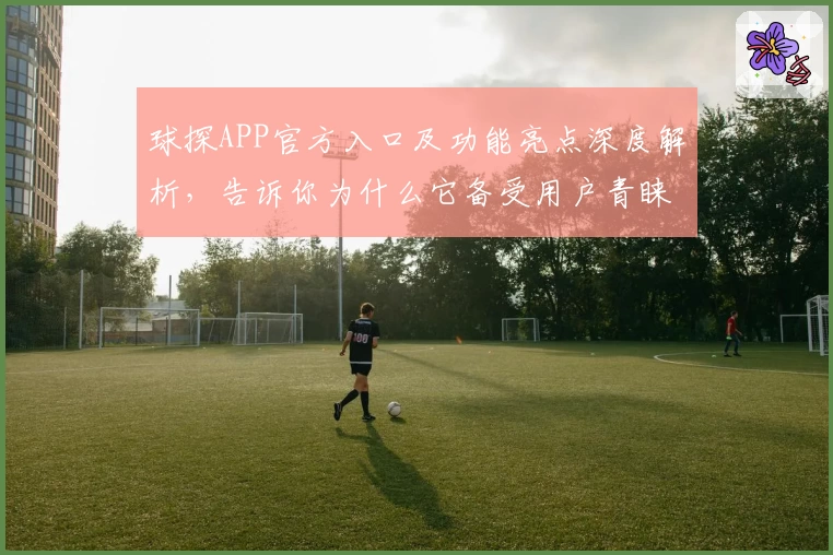 球探APP官方入口及功能亮点深度解析，告诉你为什么它备受用户青睐