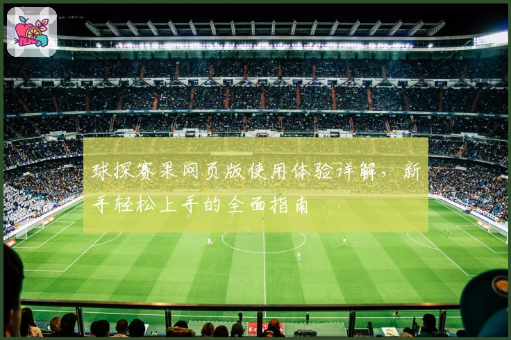 球探赛果网页版使用体验详解，新手轻松上手的全面指南