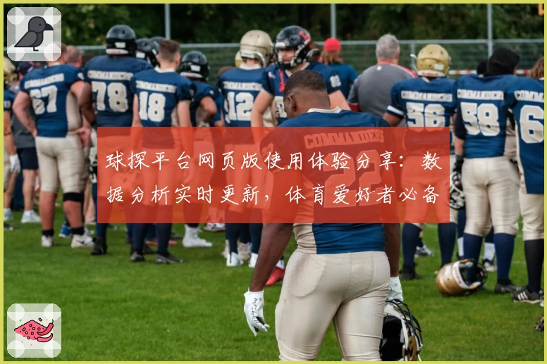球探平台网页版使用体验分享：数据分析实时更新，体育爱好者必备助手