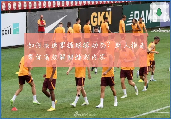 如何快速掌握球探动态？新人指南带你高效解锁精彩内容