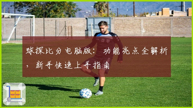 球探比分电脑版：功能亮点全解析，新手快速上手指南