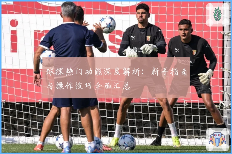 球探热门功能深度解析：新手指南与操作技巧全面汇总