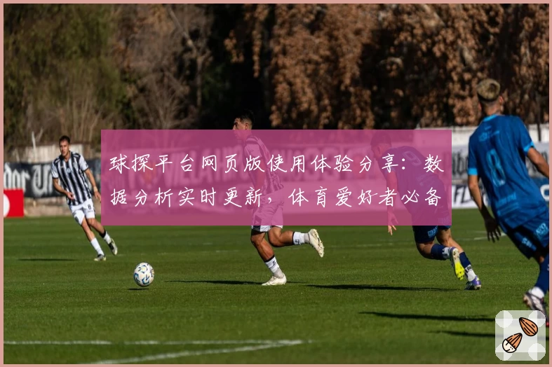 球探平台网页版使用体验分享：数据分析实时更新，体育爱好者必备助手